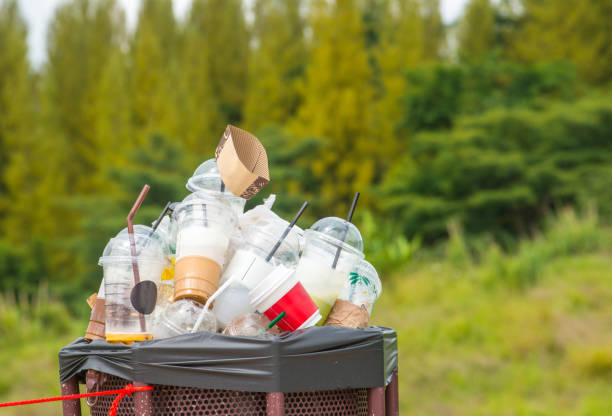 Trash Removal Near Me in Saranap, CA